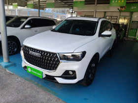 哈弗H6 2023款 国潮版 1.5T 自动都市版