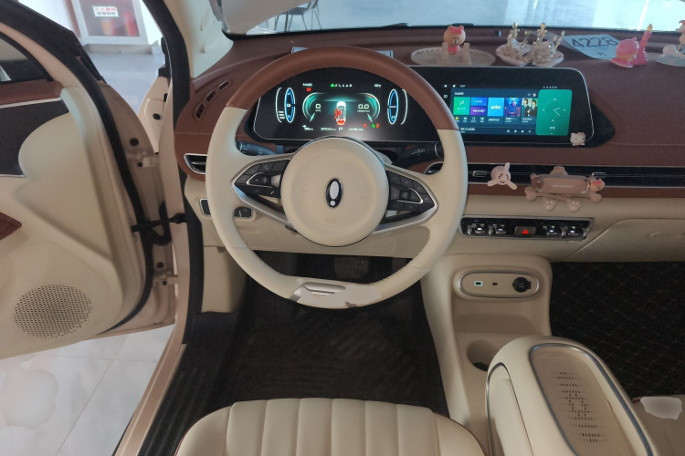 欧拉好猫 2023款 401km标准续航 豪华型 磷酸铁锂中控内饰13