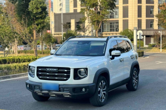 哈弗大狗 2021款 1.5T DCT两驱马犬版