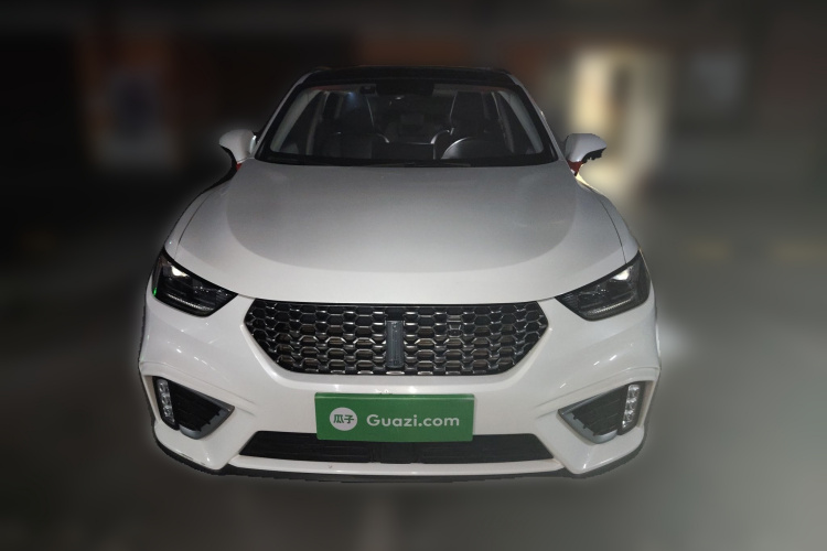 魏牌 VV5 2021款 1.5T 两驱智先锋车身外观6001