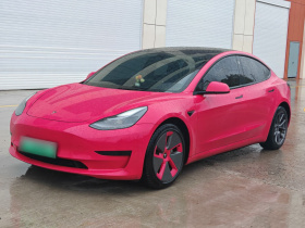 特斯拉 Model 3 2021款 标准续航后驱升级版 3D6