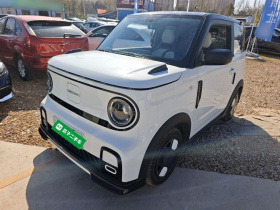 吉利银河 2025款 210km 熊猫卡丁