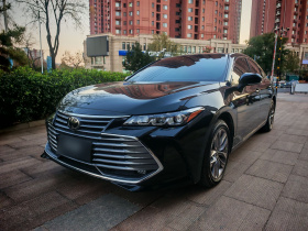 丰田 亚洲龙 2019款 2.5L 进取版 国VI