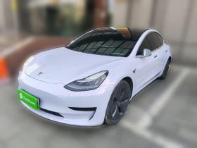 特斯拉 Model 3 2020款 标准续航后驱升级版