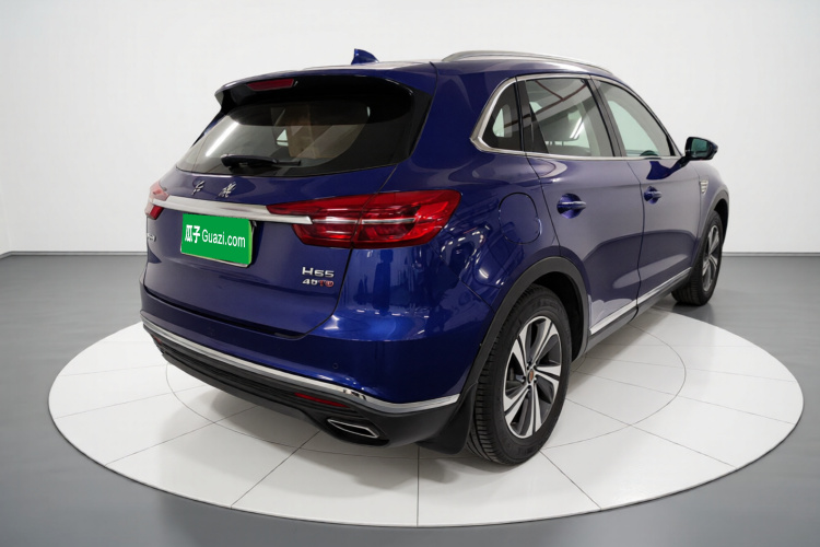 红旗HS5 2019款 2.0T 智联旗享版车身外观7