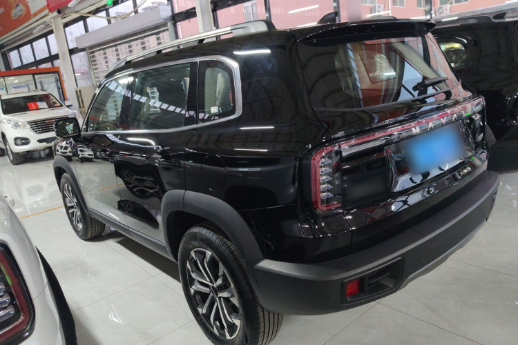 哈弗大狗 2024款 1.5T DCT边牧版车身外观4