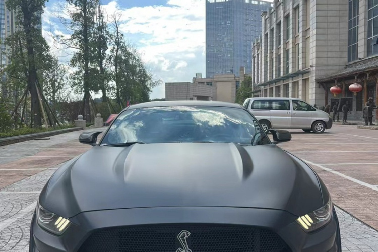 福特Mustang（平行进口） 车身外观6006