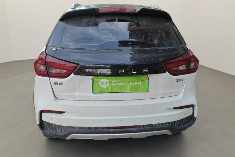 睿蓝汽车 枫叶30X 2020款 智行版车身外观6