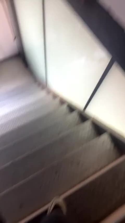 大众 高尔夫 2023款 280TSI DSG R-Line Lite讲解2