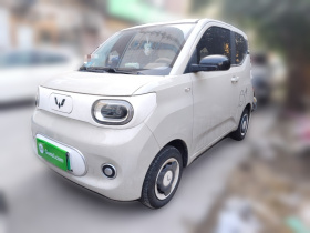 五菱汽车 宏光MINIEV 2024款 第三代 215km 青春版