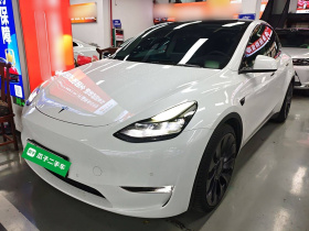 特斯拉 Model Y 2021款 Performance高性能全轮驱动版