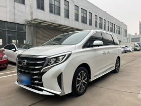 广汽传祺 传祺M8 2024款 领秀系列 390T 豪华版