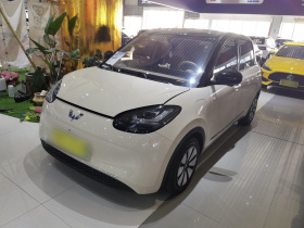 五菱汽车 五菱缤果 2025款 333km 灵犀互联款