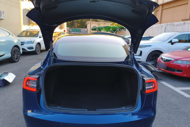 特斯拉 Model 3(进口) 2019款 长续航后驱版局部细节23