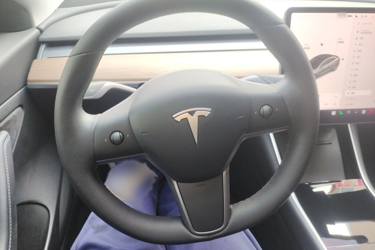 特斯拉 Model 3 2019款 标准续航后驱升级版局部细节13