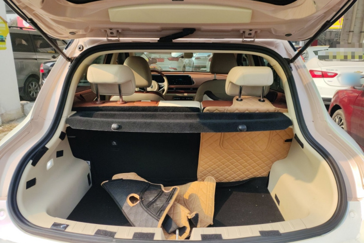 欧拉好猫 2021款 400km标准续航 维纳斯版 三元锂局部细节23