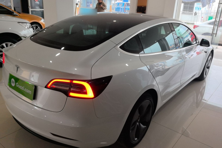 特斯拉 Model 3 2020款 改款 长续航后轮驱动版车身外观6005