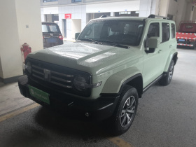 坦克300 2024款 2.0T 穿越者