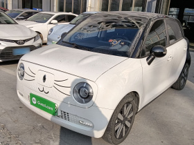 欧拉黑猫 2021款 405km 长续航型