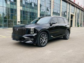 广汽传祺 传祺GS8 2022款 领航系列 2.0TGDI 两驱豪华智联版（七座）