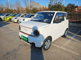 吉利银河 2024款 熊猫mini 200km 耐力熊