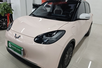 五菱汽车 五菱缤果 2023款 333km 悦享+款