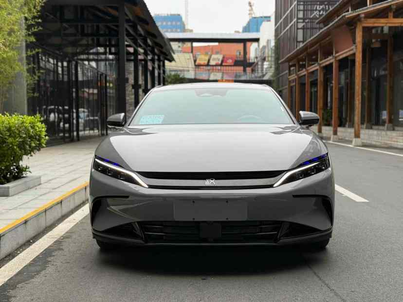 比亚迪 汉 2025款 DM-i 125KM精英型(1)