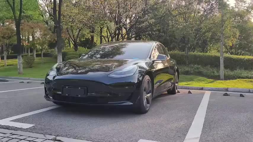特斯拉 Model 3 2020款 改款 标准续航后驱升级版实拍1