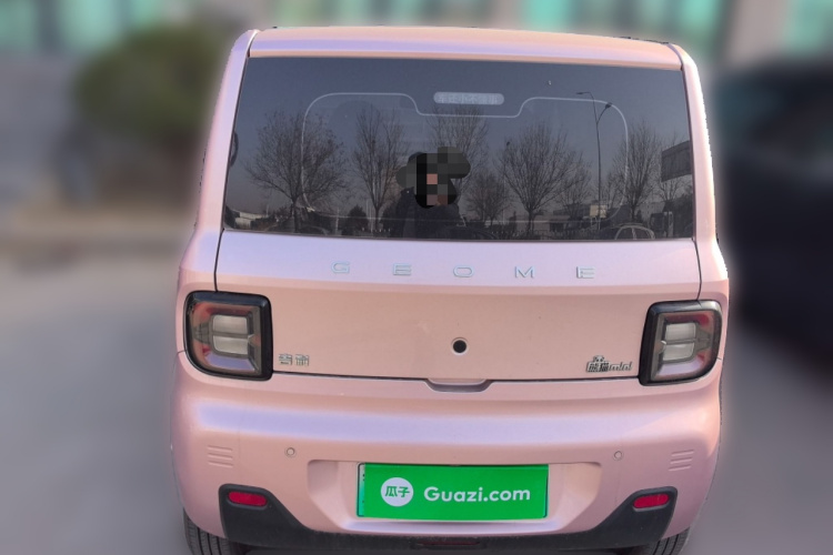 吉利银河 2023款 熊猫mini 200km 耐力熊车身外观6004