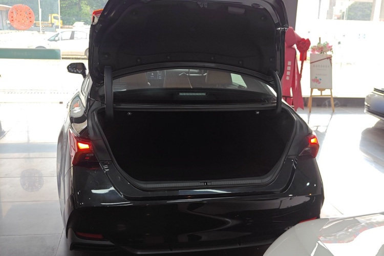 丰田 亚洲龙 2019款 双擎 2.5L XLE尊贵版 国VI机舱底盘23