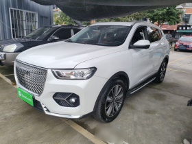哈弗H6 2021款 1.5T 自动冠军版