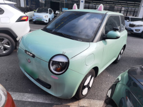 长安启源 长安Lumin 2023款 205km 香沁款