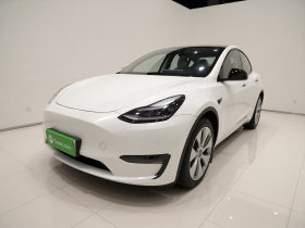 特斯拉 Model Y 2021款 标准续航后驱版