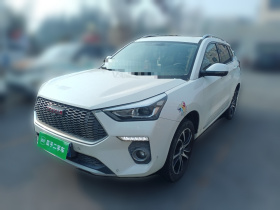 哈弗H6 Coupe 2018款 红标 1.5T 自动两驱超豪型
