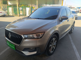 宝沃BX5 2017款 20TGDI 自动两驱领先型