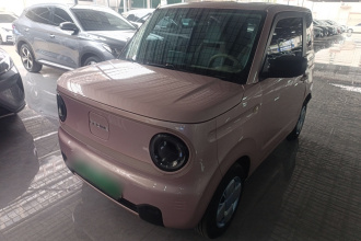 吉利银河 2023款 熊猫mini 200km 耐力熊