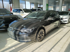 大众 高尔夫 2023款 280TSI DSG Pro