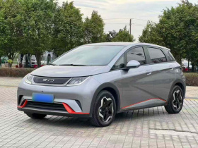 比亚迪 海豚 2021款 405km 时尚版