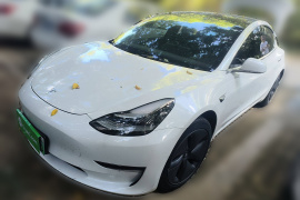 特斯拉 Model 3(进口) 2019款 长续航后驱版