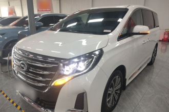 广汽传祺 传祺M8 2020款 领航款 390T 尊贵版