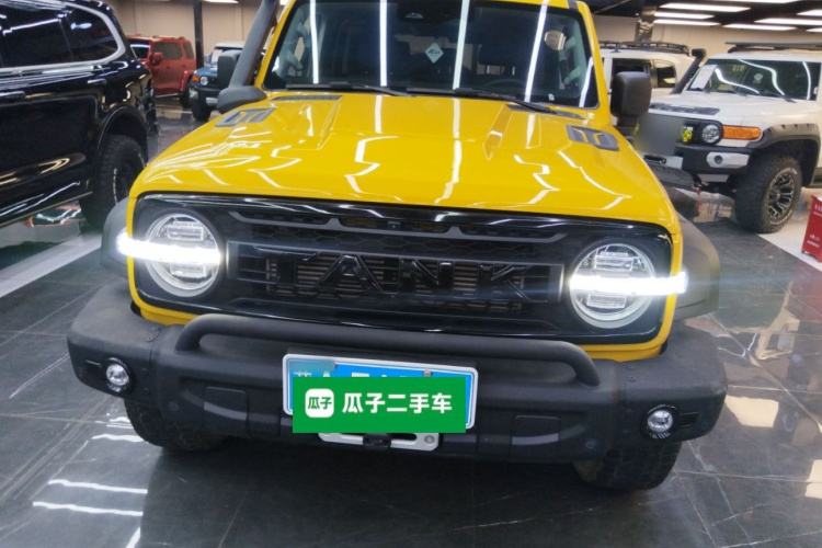 坦克300 2022款 2.0T 边境限定版车身外观6001