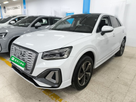 奥迪Q2L e-tron 2022款 Q2L e-tron 纯电智享型