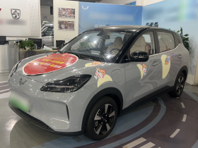 五菱汽车 五菱缤果PLUS 2024款 401km 五座版