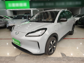 五菱汽车 五菱缤果PLUS 2024款 330km 五座版