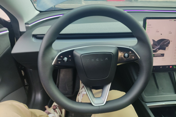 特斯拉 Model 3 2023款 长续航全轮驱动版局部细节13