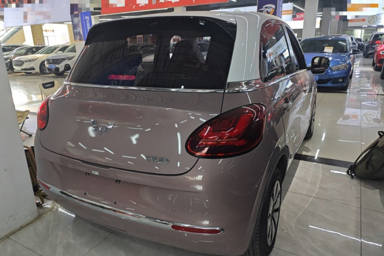 五菱汽车 五菱缤果 2023款 333km 灵犀互联款车身外观6005