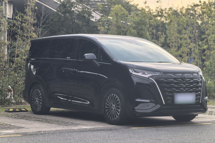 腾势D9 2024款 DM-i 980 四驱旗舰型车身外观6004