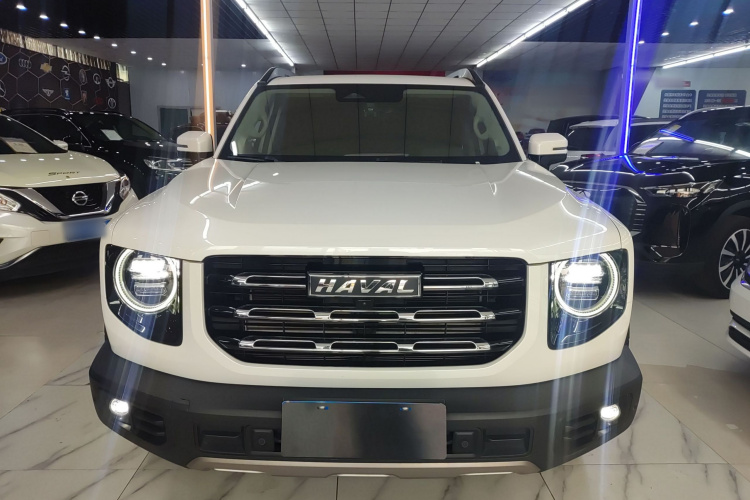 哈弗大狗 2021款 1.5T DCT两驱边牧版车身外观6001