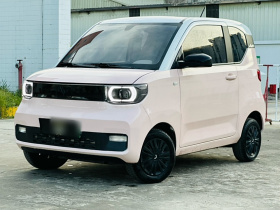 五菱汽车 宏光MINIEV 2021款 马卡龙时尚款 三元锂