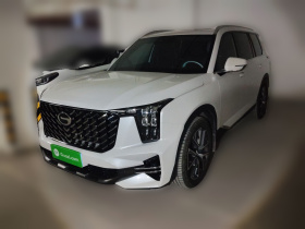 广汽传祺 传祺GS8 2025款 领航系列 2.0TGDI 两驱豪华版 5座